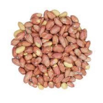 مغز بادام زمینی آستانه فله