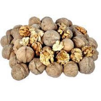 گردو ایرانی فله